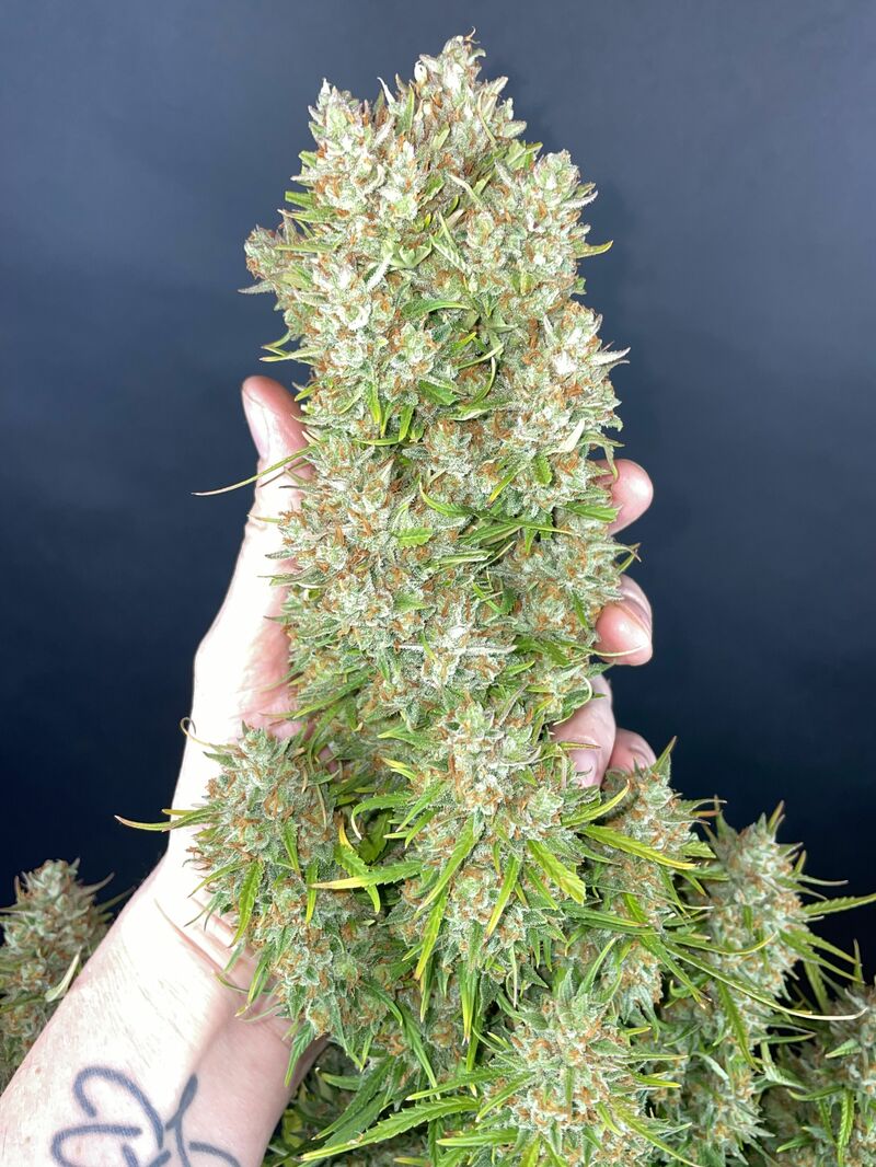 Pound Cake Auto, Фасовка: 1, изображение 46